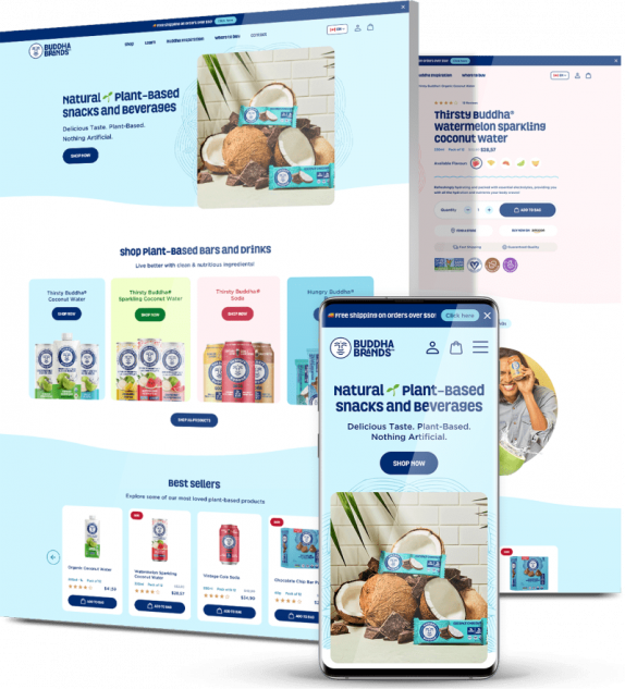 Buddha Brands as one of the best web design examples