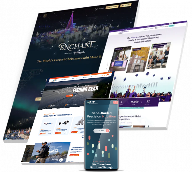 Asset Lino featured work