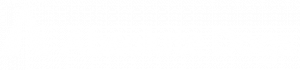 logo white